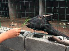 -十三陵山水雅园农家院