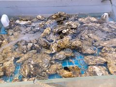 -集品鲜湾·蒸汽海鲜自助料理(青岛银座和谐广场店)