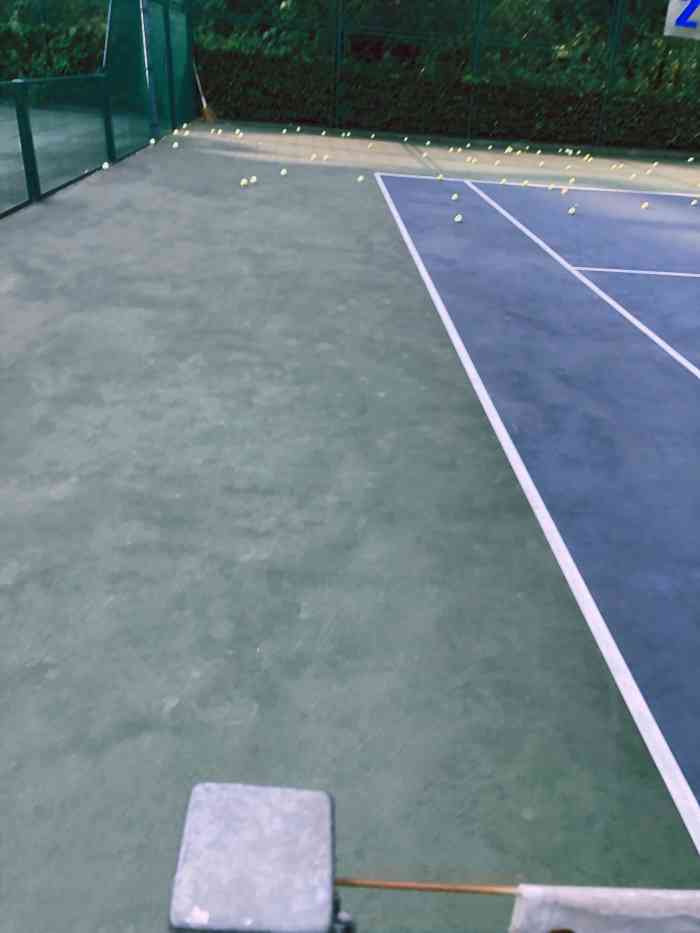 闵行体育公园网球场"都被教练站住场地教球了,一般人订不到场地.