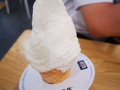 -野人先生Gelato(上海长宁龙之梦店)
