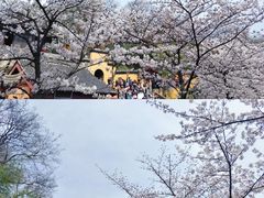-鸡鸣寺