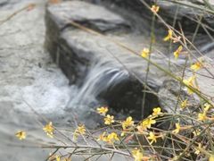 景点-三里河公园