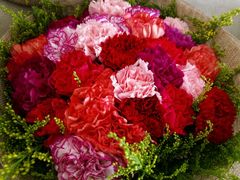 -沪花拾者(好再来花卉鲜花店)