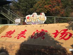 -东方熊牧场