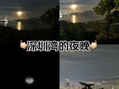-深圳湾公园(南山区)