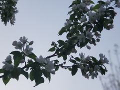 -丰台花园