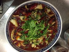 队长面馆-队长面馆 La Pasteria del Capitano