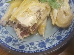 -九斤黄三黄鸡专卖店