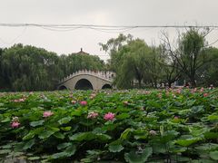 -二一九公园