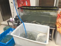 -长顺河豚馆(江洲东路)