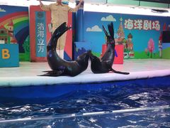 -成都浩海立方海洋公园