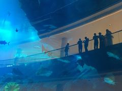 -迪拜水族馆及水下动物园