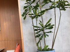 -阿杜打边炉(五江天街店)