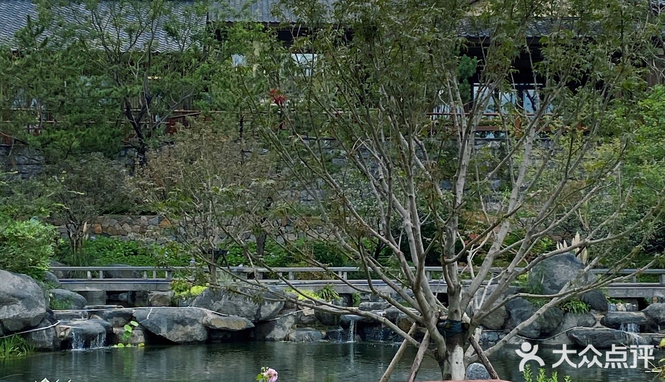 这里是青岛｜初秋夜晚的古唐小镇如同仙境🏯