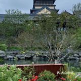 这里是青岛｜初秋夜晚的古唐小镇如同仙境🏯