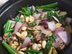 -石岐乳鸽村(南海第三分店)