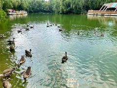 -沈阳鸟岛