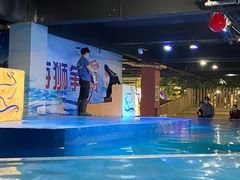 -邯郸海洋世界