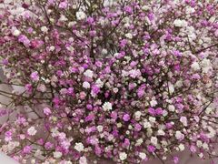 -海底捞火锅(万象城店)