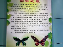 -上海昆虫博物馆