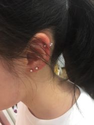 -花师傅