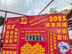 -三亚红色娘子军演艺公园景区