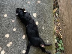 -Ohkajhu Organic Farm Sansai