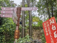 -阳台山森林公园