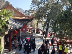 -潭柘寺景区