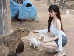 -灵玲国际马戏城