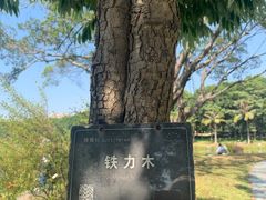 -东莞植物园