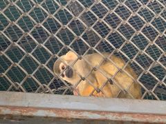 -长白岛森林公园