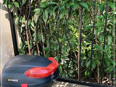 -沈坚强游泳俱乐部(长征分部)