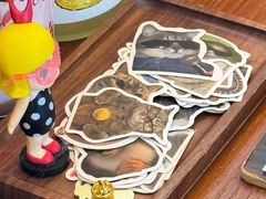 -有猫主题·治愈系猫咖(曾厝垵店)