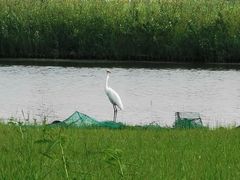 -春花秋色城市公园
