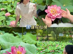 -广州莲花山旅游区