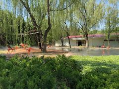 -石家庄市动物园