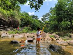 -广州白江湖森林公园