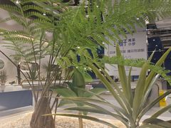 -兰湘子·湘菜小炒(崂山丽达店)