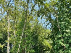 -桤木河湿地公园