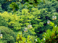 -黔灵山公园