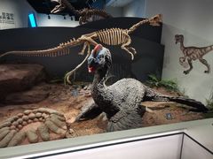 -自贡恐龙博物馆