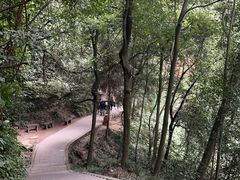 -青城山