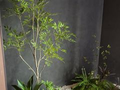 -梁溪河畔·吉府花园(南长街南下塘店)