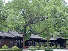 -西溪国家湿地公园