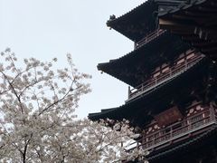 -枫桥景区