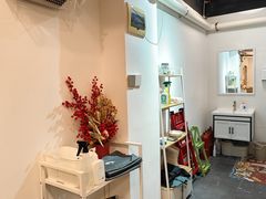 -有喵·猫咖·狗咖·30几只猫10只小狗(岗厦店)