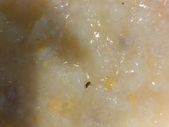 -一品粥(易俗河店)