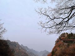 -少华山国家森林公园