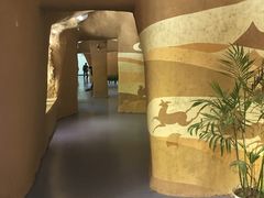 -敦煌市博物馆